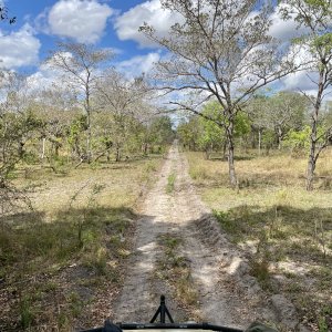 Scenery Selous Game Reserve Tanzania