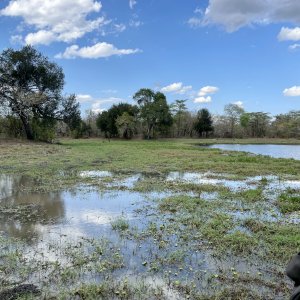 Scenery Selous Game Reserve Tanzania