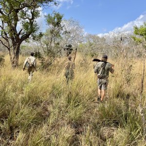 Tracking Buffalo Selous Game Reserve Tanzania