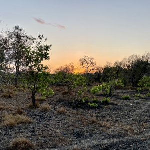 Scenery Selous Game Reserve Tanzania