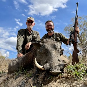 Warthog Hunting Selous Game Reserve Tanzania