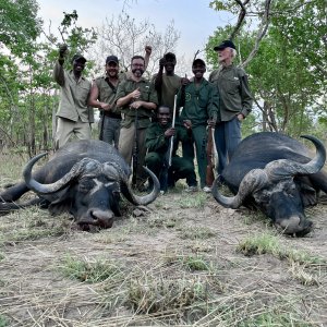 Buffalo Hunting Selous Game Reserve Tanzania