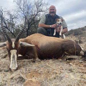 Blesbok Hunt Eastern Cape South Africa