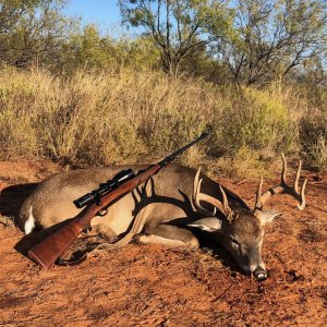 Whitetail Hunting