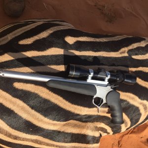 Zebra Handgun Hunt