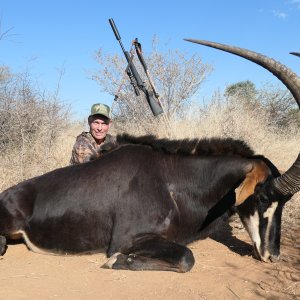 Sable Hunting South Africa