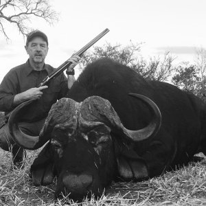 Buffalo Hunting South Africa