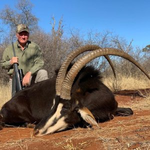 Sable Hunting South Africa