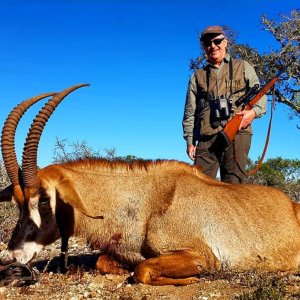 Roan Hunting Eastern Cape South Africa