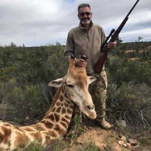 Giraffe Hunting Eastern Cape South Africa