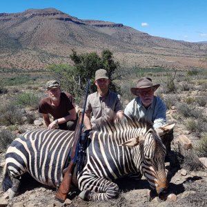 Zebra Hunting Eastern Cape South Africa