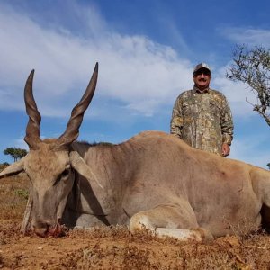 Eland Hunting Eastern Cape South Africa