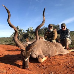 Kudu Hunting Eastern Cape South Africa