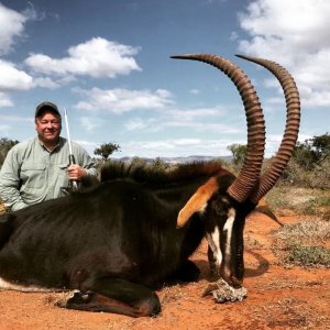 Sable Hunting Eastern Cape South Africa