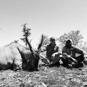 Eland Hunting Tanzania