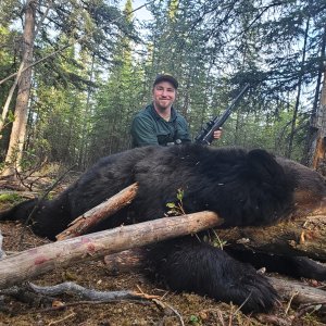 Black Bear Hunt Alaska