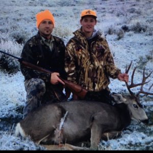 Mule Deer Hunting