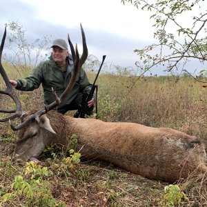 Red Stag Hunting Romania