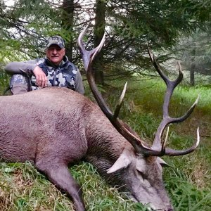 Red Stag Hunting Romania