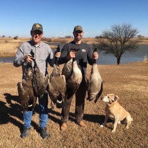 Goose Hunting