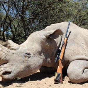 White Rhino Hunting South Africa