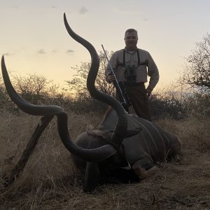 Kudu Hunting South Africa