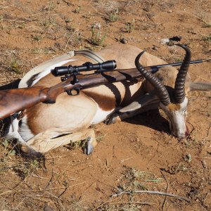 Springbok Hunting