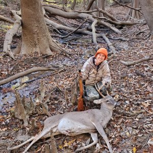 Whitetail Hunting