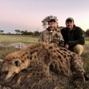 Spotted Hyena Hunting Namibia