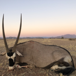 Gemsbok Hunting Namibia