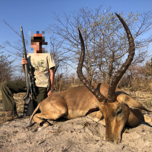 Impala Hunting Namibia