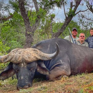 Kwalata Safaris Cape Buffalo 2021