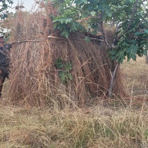 Leopard hide Tanzania