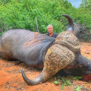 Kwalata Safaris Cape Buffalo Mozambique, 2021