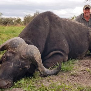 Buffalo Hunt Namibia