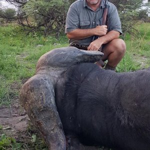 Buffalo Hunt Namibia