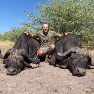 Buffalo Hunting Namibia