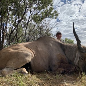 Eland hunting Kwalata safaris, 2021