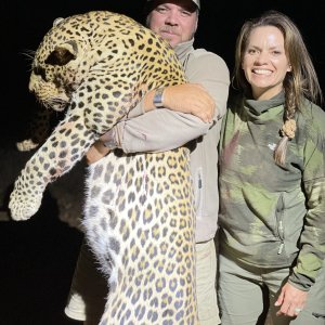 Leopard Hunting Kwalata Safaris, 2021