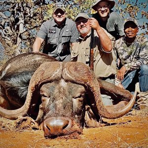 Buffalo Hunt Limpopo South Africa