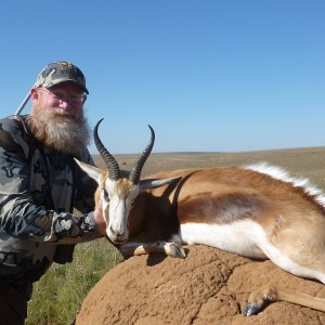 Springbok Hunt South Africa