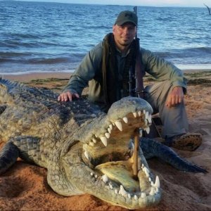 Crocodile Hunting Zimbabwe