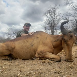 Hartebeest Hunt Mozambique