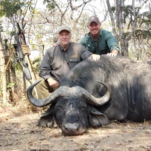 Buffalo Hunting Tanzania