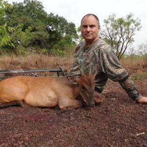 Bow Hunting Weyn's Duiker Central African Republic C.A.R.