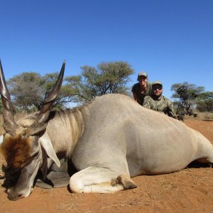 Bow Hunting Eland South Africa