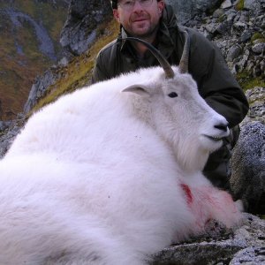 Kodiak Mountain Goat Hunt