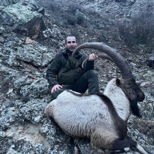 Hunting The King Of The Turkish Mountains