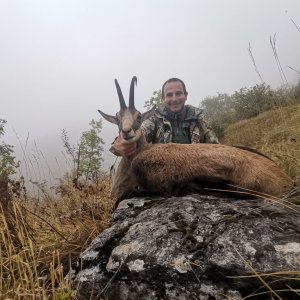 Chamois With Very Thick Bases