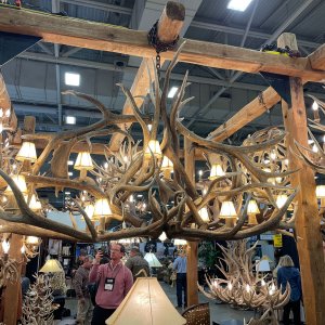 Antler Lamp Chandeliers